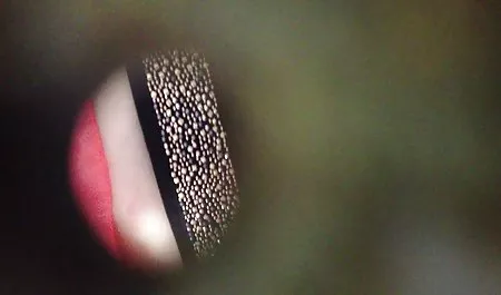 심각하게 처벌해야한 우크라이나 창녀노