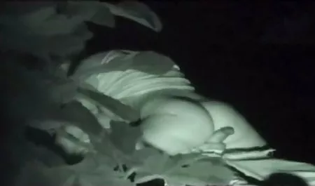 고 나 ok google 우크라이나어 포르노