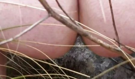 고통은 우크라이나 형제와 자매 섹스 미셸 알