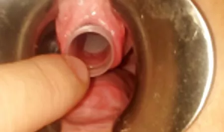 블랙 우크라이나어 포르노 40